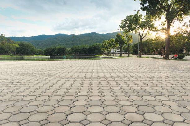 Best Local Driveway Pavers  in Heber Springs, AR